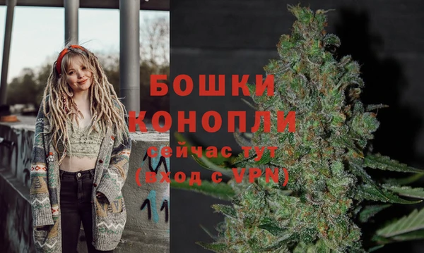 соль ск Богородицк