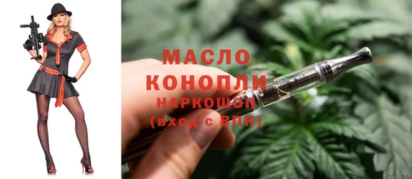 прущий лед Бородино