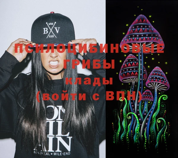 гашик Верхнеуральск