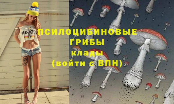 прущие крисы Бронницы