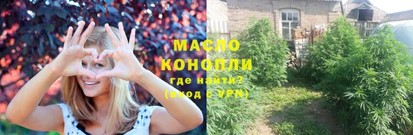 соль ск Богородицк