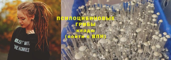 мяу мяу мука Белоозёрский