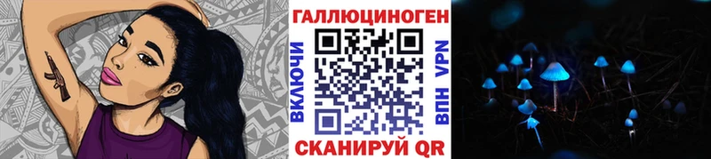 как найти закладки  Дудинка  Псилоцибиновые грибы Cubensis 